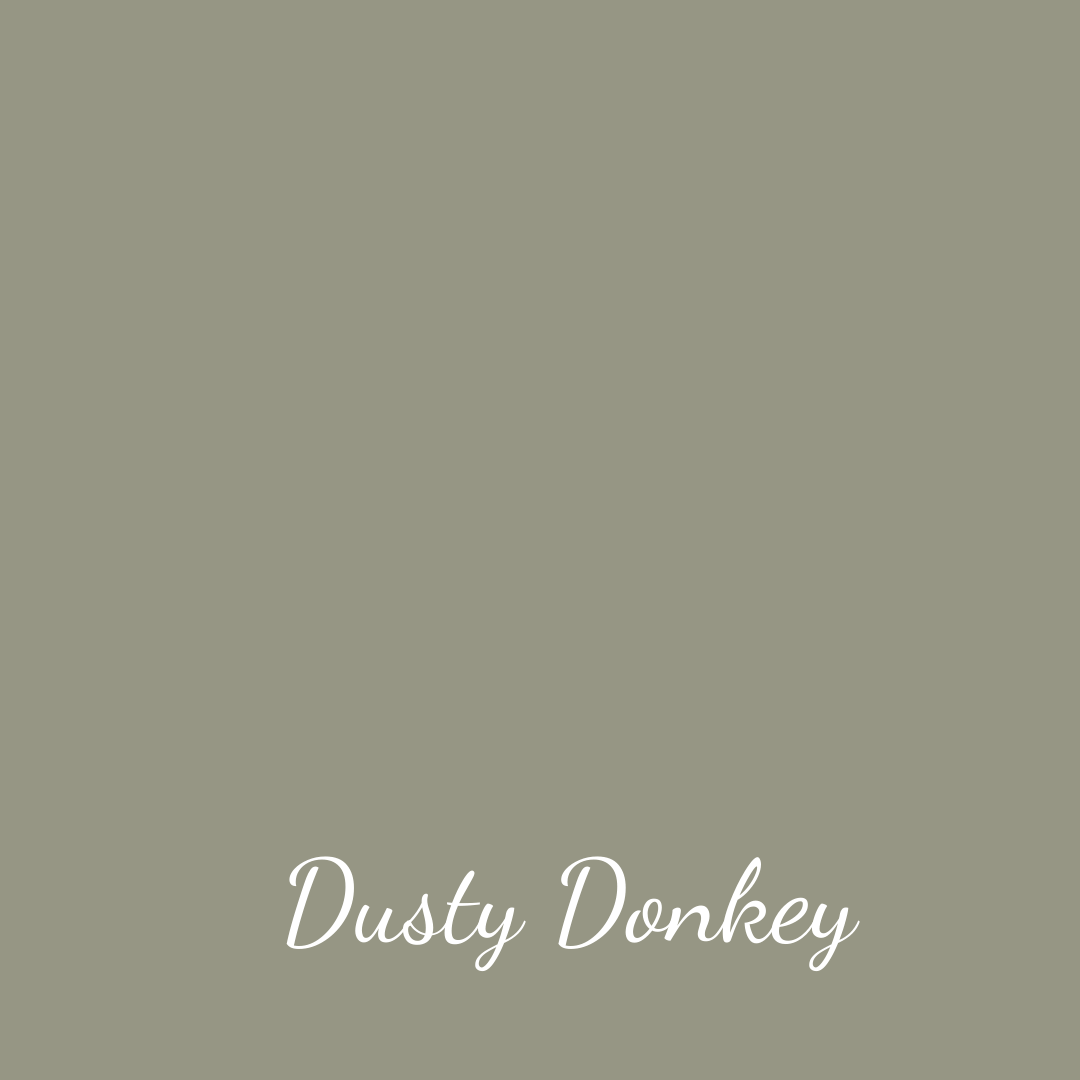 Dusty Donkey