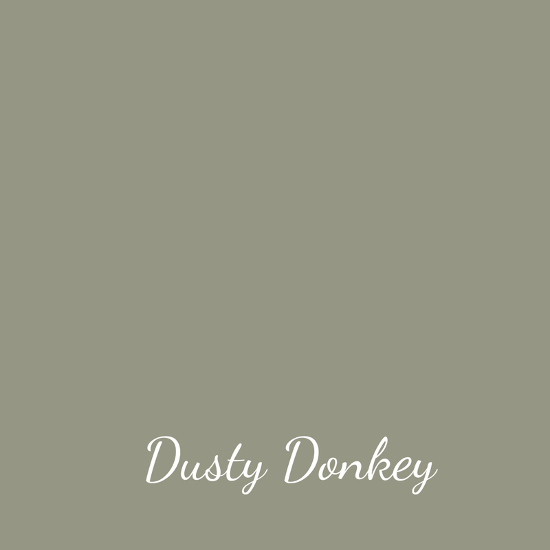 Dusty Donkey