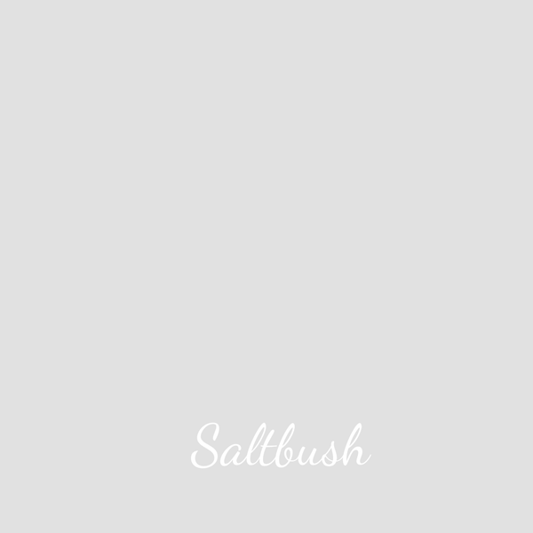 Saltbush